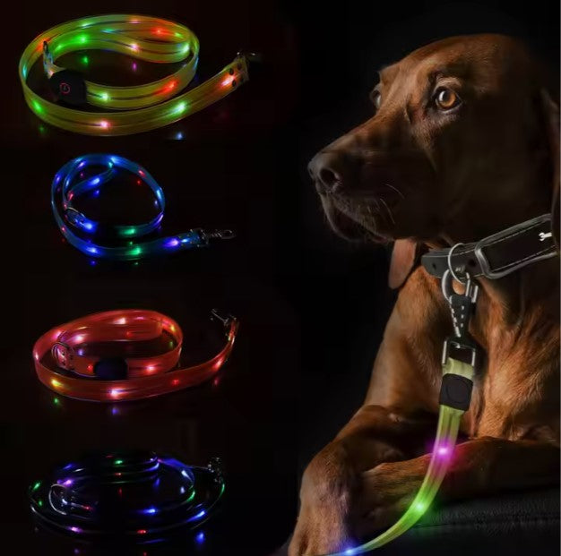 KFX-6361789 Luminous Colorful Dog Collar with Anti-Lost Hand Holding Rope