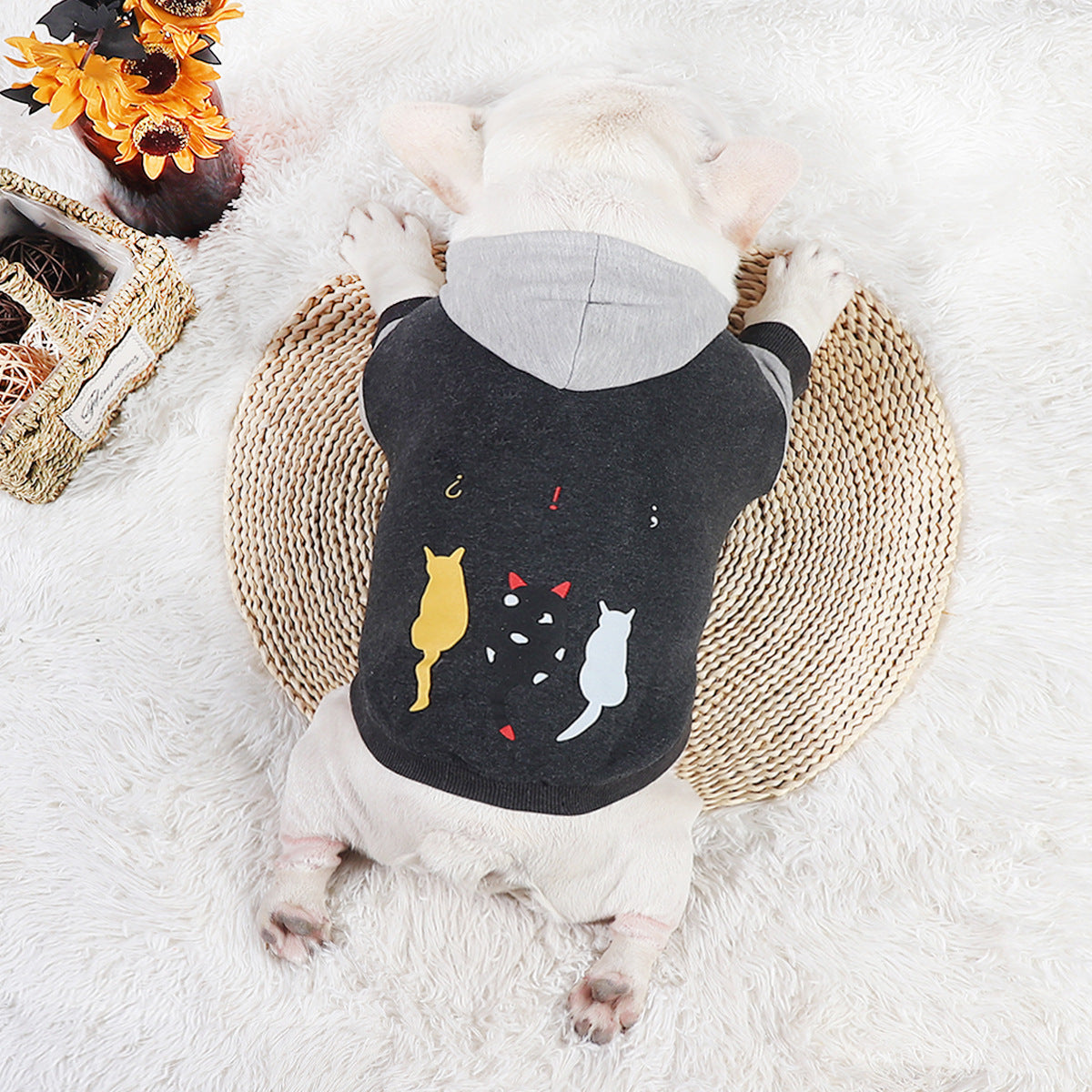 KFX-6363069 Stylish Grey Cotton Two-Legged Dog Sweater with Print