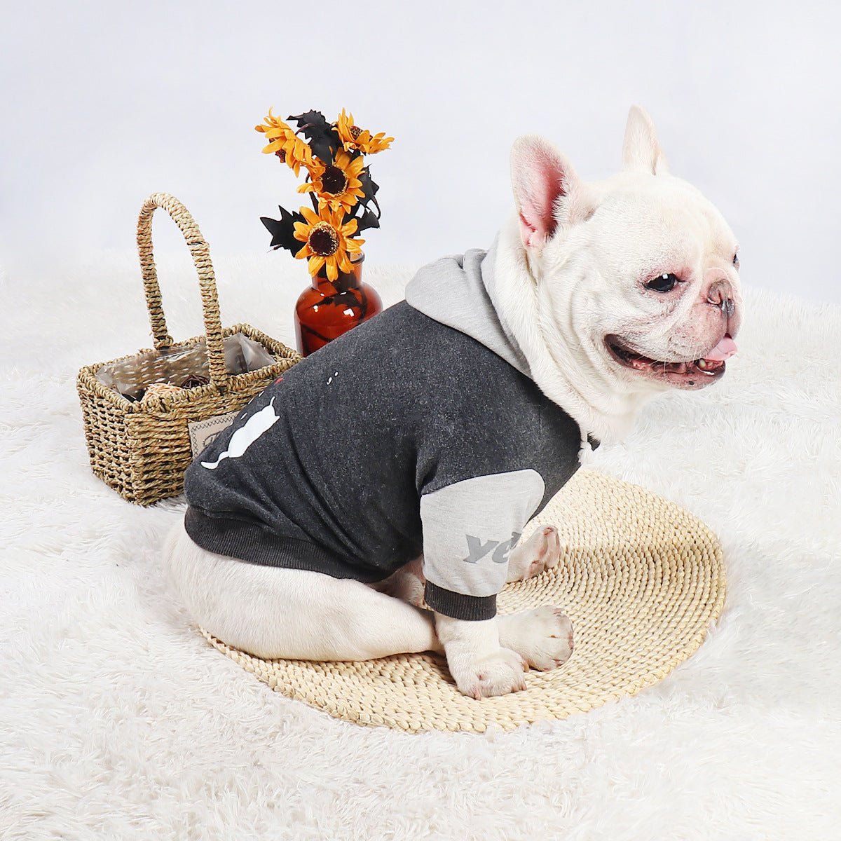 KFX-6363069 Stylish Grey Cotton Two-Legged Dog Sweater with Print
