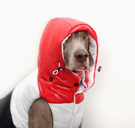 KFX-6366141 Autumn and Winter Down Vest for Pets - Stylish, Comfortable, Multiple Sizes Available