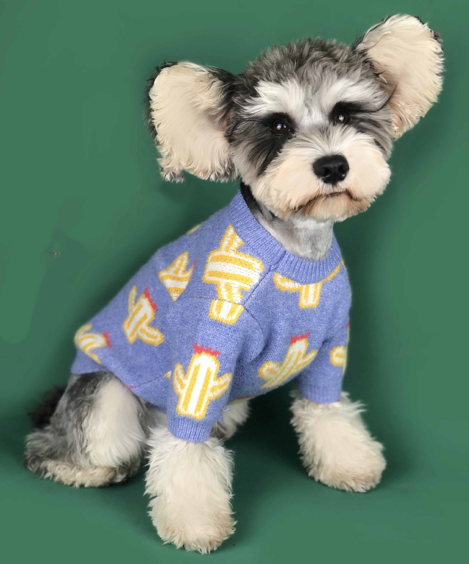 KFX-6371517 Cactus Pattern Acrylic Sweater in Purple and Yellow - Available in Multiple Sizes