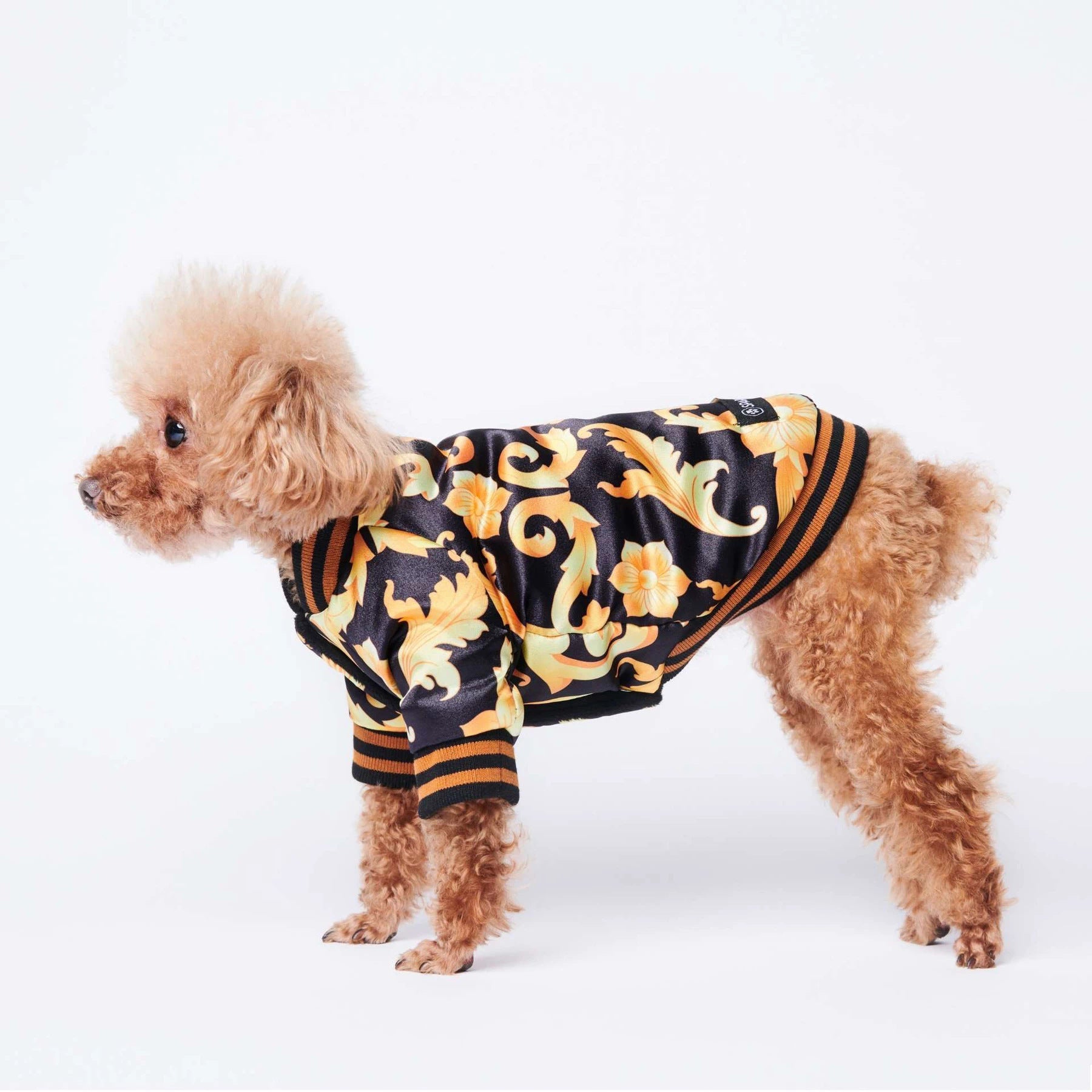 KFX-6371901 Cozy Cotton Dog Coat for Small to Extra Large Breeds