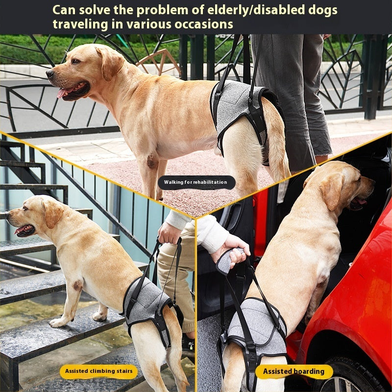 KFX-6378557 Elderly Dog Back-Style Auxiliary Strap in Heather Gray, Size S (Waist 40-46, Leg Circumference 24)