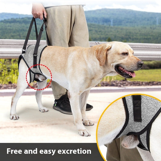 KFX-6378557 Elderly Dog Back-Style Auxiliary Strap in Heather Gray, Size S (Waist 40-46, Leg Circumference 24)