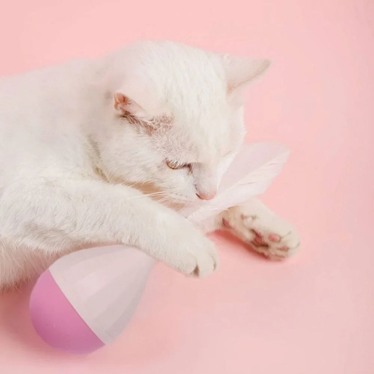 KFX-6386493 Feather Tumbler Cat Toy - Bite-Resistant Tease Ball with Flexible Stick for Interactive Play