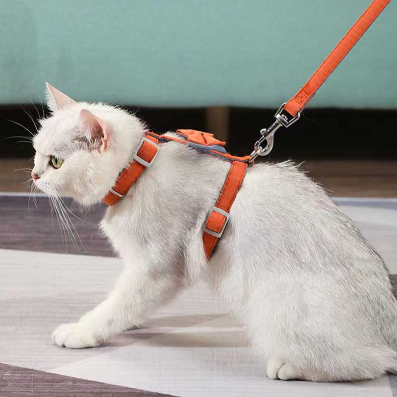 KFX-6387261 Color-Blocked Cotton-Filled Cat Leash with Bow Knot and Adjustable Chest Strap