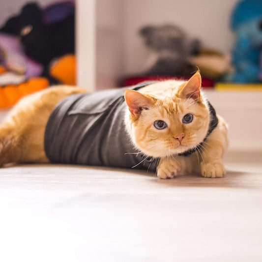 KFX-6389181 Summer Dark Gray Pet Vest for Dogs and Cats - Available in Sizes S, M, L, Made of Durable Polyester