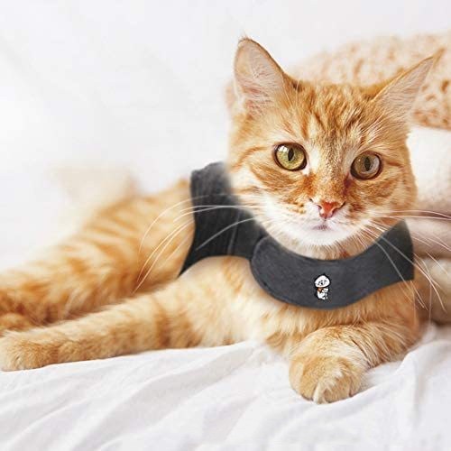 KFX-6389181 Summer Dark Gray Pet Vest for Dogs and Cats - Available in Sizes S, M, L, Made of Durable Polyester