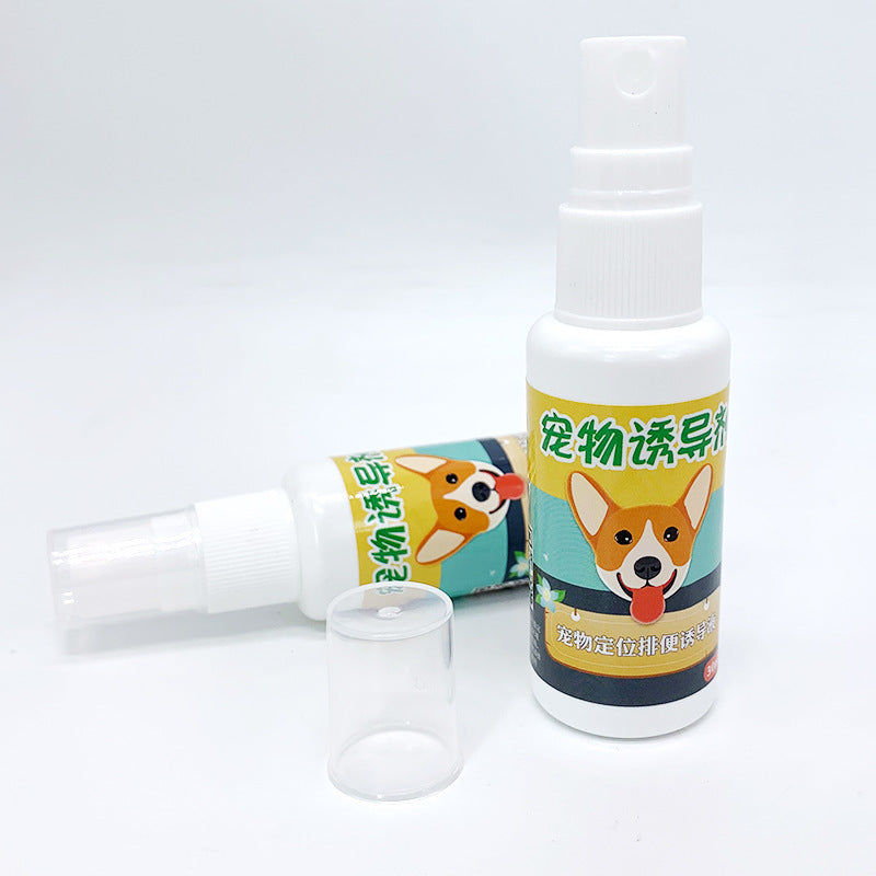 KFX-6392637 Instant Lift Support with Plant Essential Oils and Moisturizer