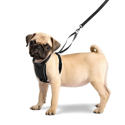 KFX-6394557 Breathable Reflective Nylon Dog Chest Strap for Comfort and Safety, Size L