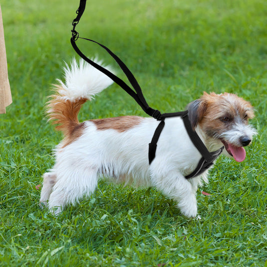 KFX-6394557 Breathable Reflective Nylon Dog Chest Strap for Comfort and Safety, Size L