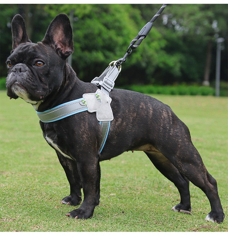 KFX-6399805 Breathable Mesh Dog Harness with Hand Holding Rope in Multiple Colors
