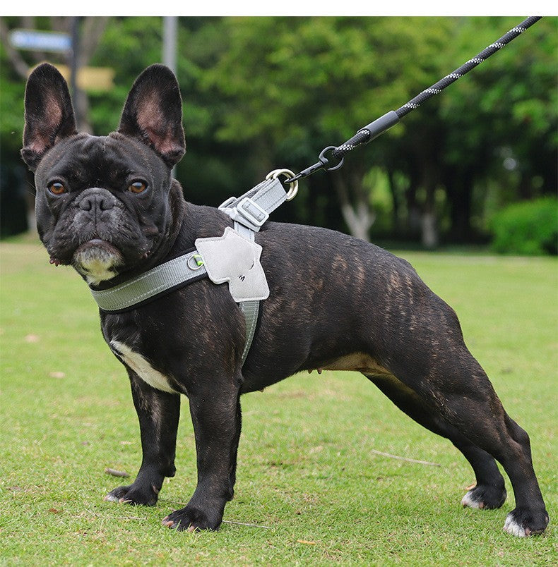 KFX-6399805 Breathable Mesh Dog Harness with Hand Holding Rope in Multiple Colors