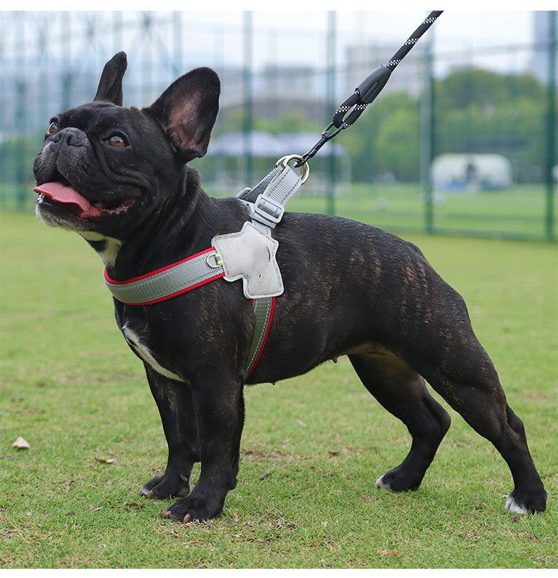 KFX-6399805 Breathable Mesh Dog Harness with Hand Holding Rope in Multiple Colors