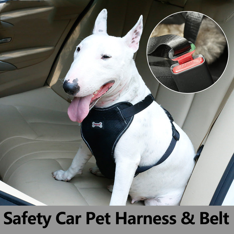 KFX-6400317 Comfortable Mesh Pet Car Seat Belt with Chest Strap - Sizes S, M, L, XL in Black