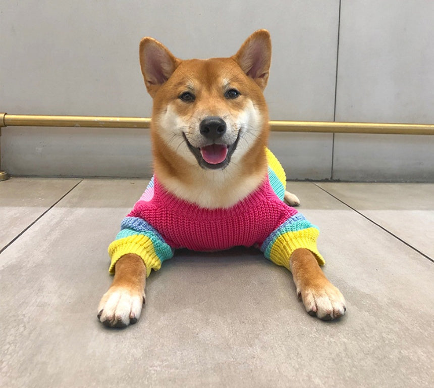 KFX-6404669 Rainbow Wool Sweater for Small Dogs and Puppies - Sizes S to 3XL