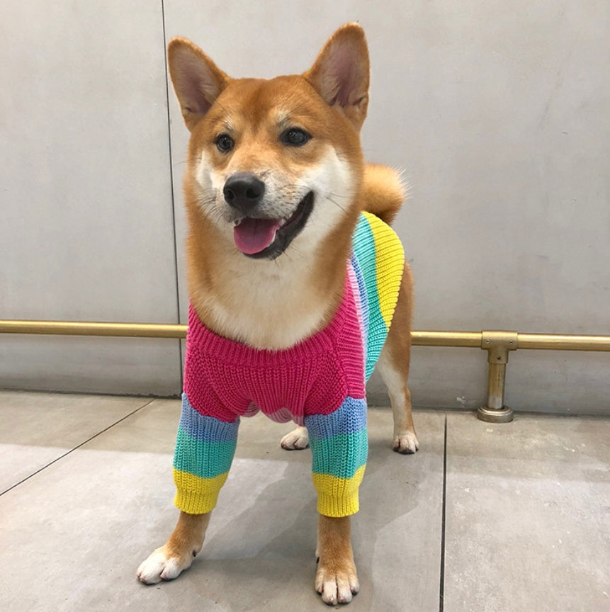 KFX-6404669 Rainbow Wool Sweater for Small Dogs and Puppies - Sizes S to 3XL
