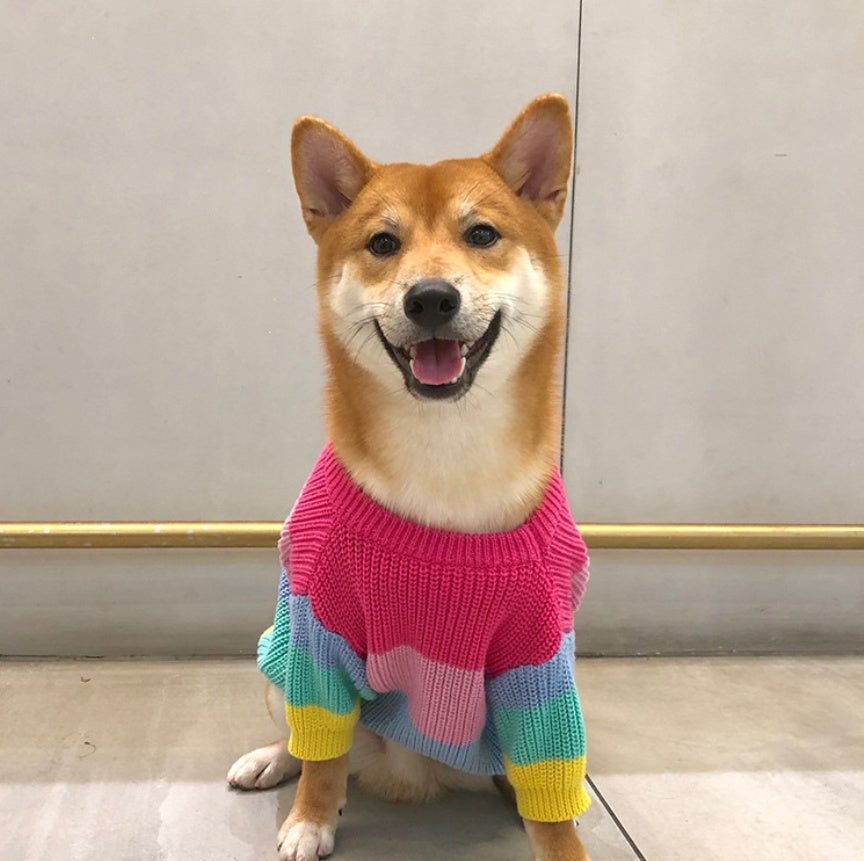 KFX-6404669 Rainbow Wool Sweater for Small Dogs and Puppies - Sizes S to 3XL
