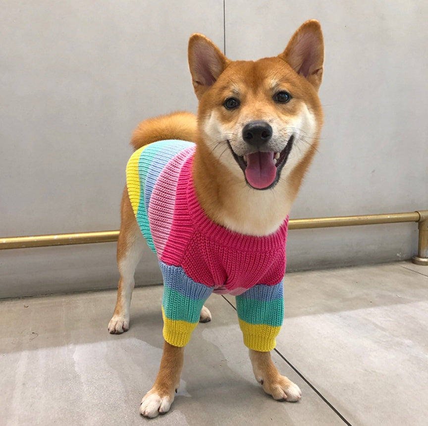 KFX-6404669 Rainbow Wool Sweater for Small Dogs and Puppies - Sizes S to 3XL