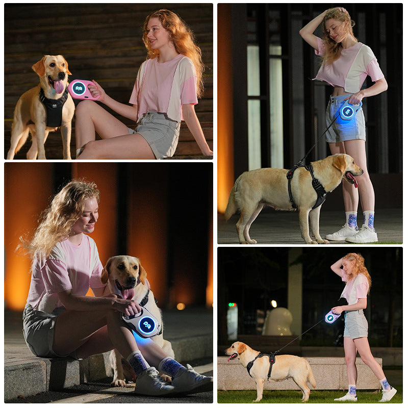 KFX-6406077 LED Retractable Dog Leash with Light - USB Rechargeable, Multiple Colors Available