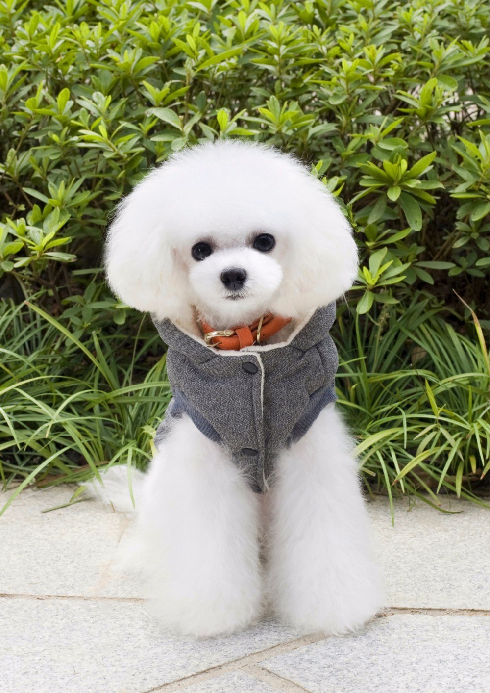 KFX-6410429 Cozy Small Pet Cotton Jacket with Lamb Wool Lining for Autumn and Winter