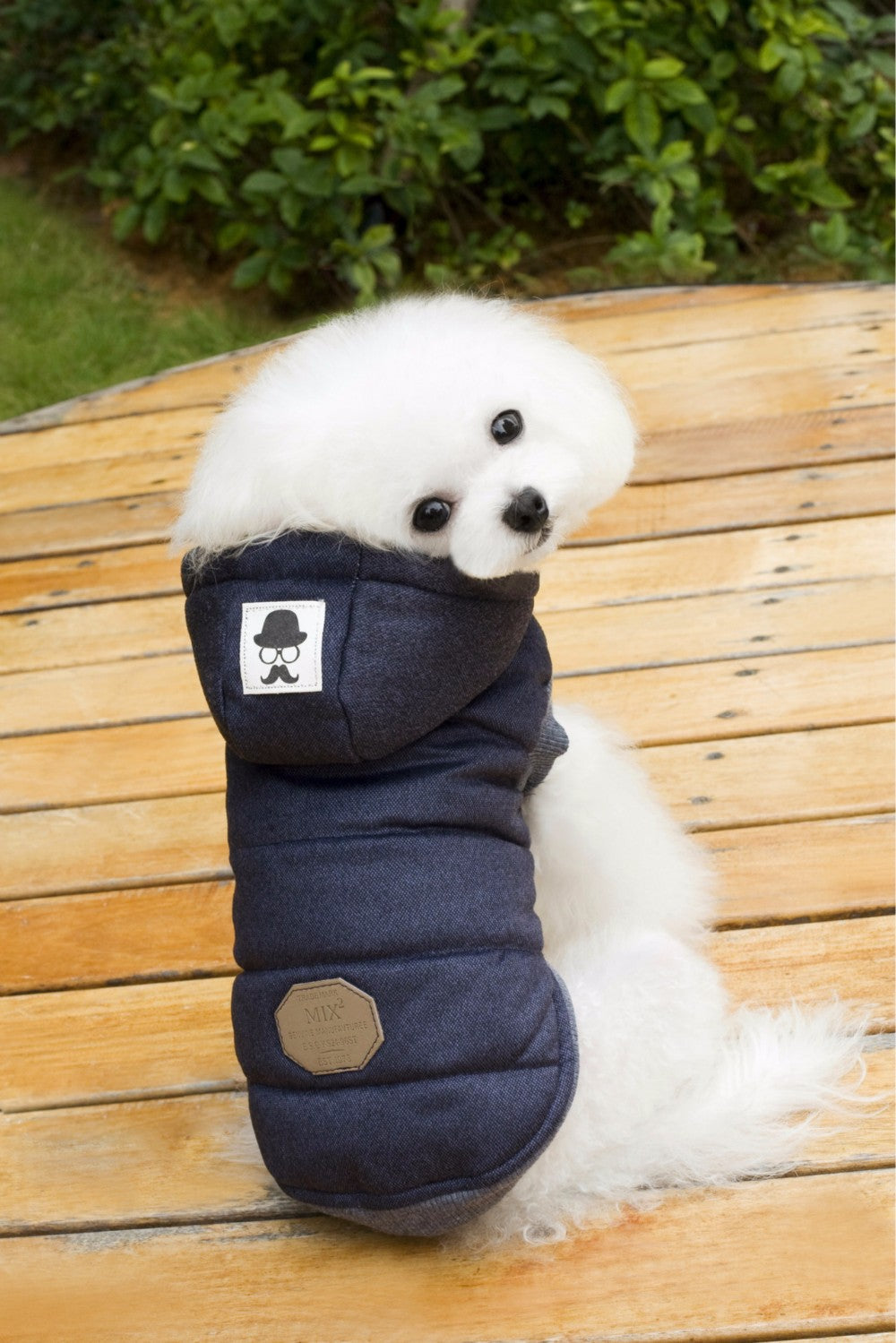KFX-6410429 Cozy Small Pet Cotton Jacket with Lamb Wool Lining for Autumn and Winter