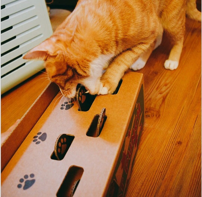 KFX-6422589 Interactive Corrugated Cat Toy - Engaging Hamster Design for Hours of Fun