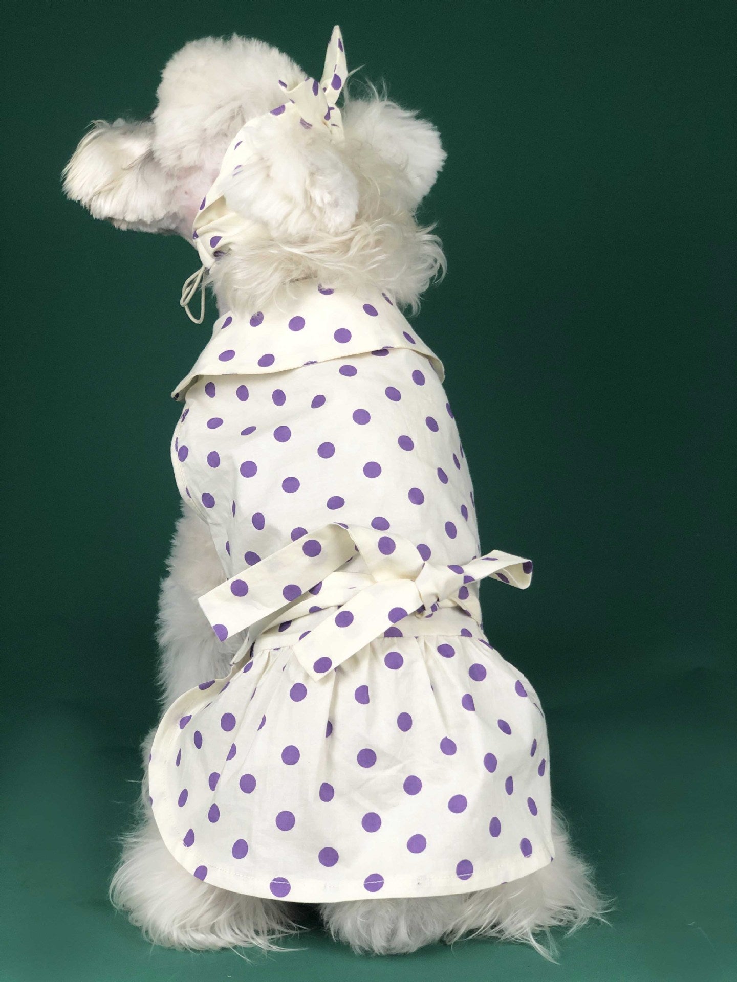 KFX-6425149 Cute Summer Dress for Small Dogs and Cats - Pet Outfit for Teddy, Schnauzer, Corgi & More