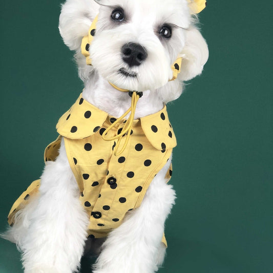 KFX-6425149 Cute Summer Dress for Small Dogs and Cats - Pet Outfit for Teddy, Schnauzer, Corgi & More
