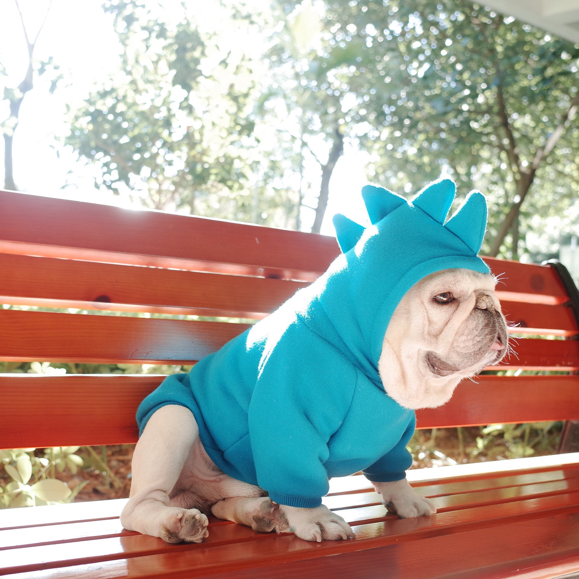 KFX-6428605 Cozy Blue Fleece Pet Hoodie for Dogs in Sizes S to XL