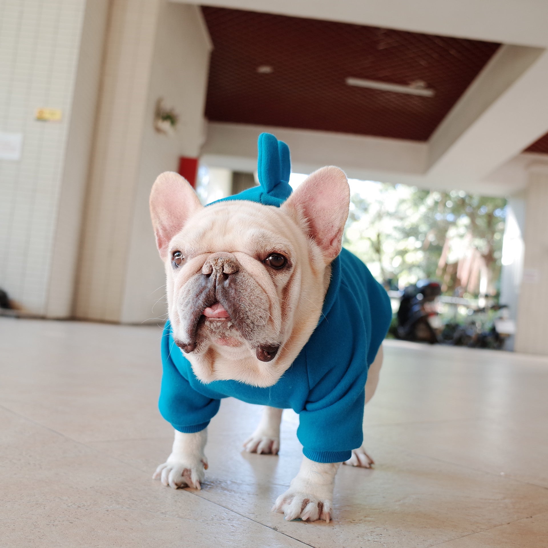 KFX-6428605 Cozy Blue Fleece Pet Hoodie for Dogs in Sizes S to XL