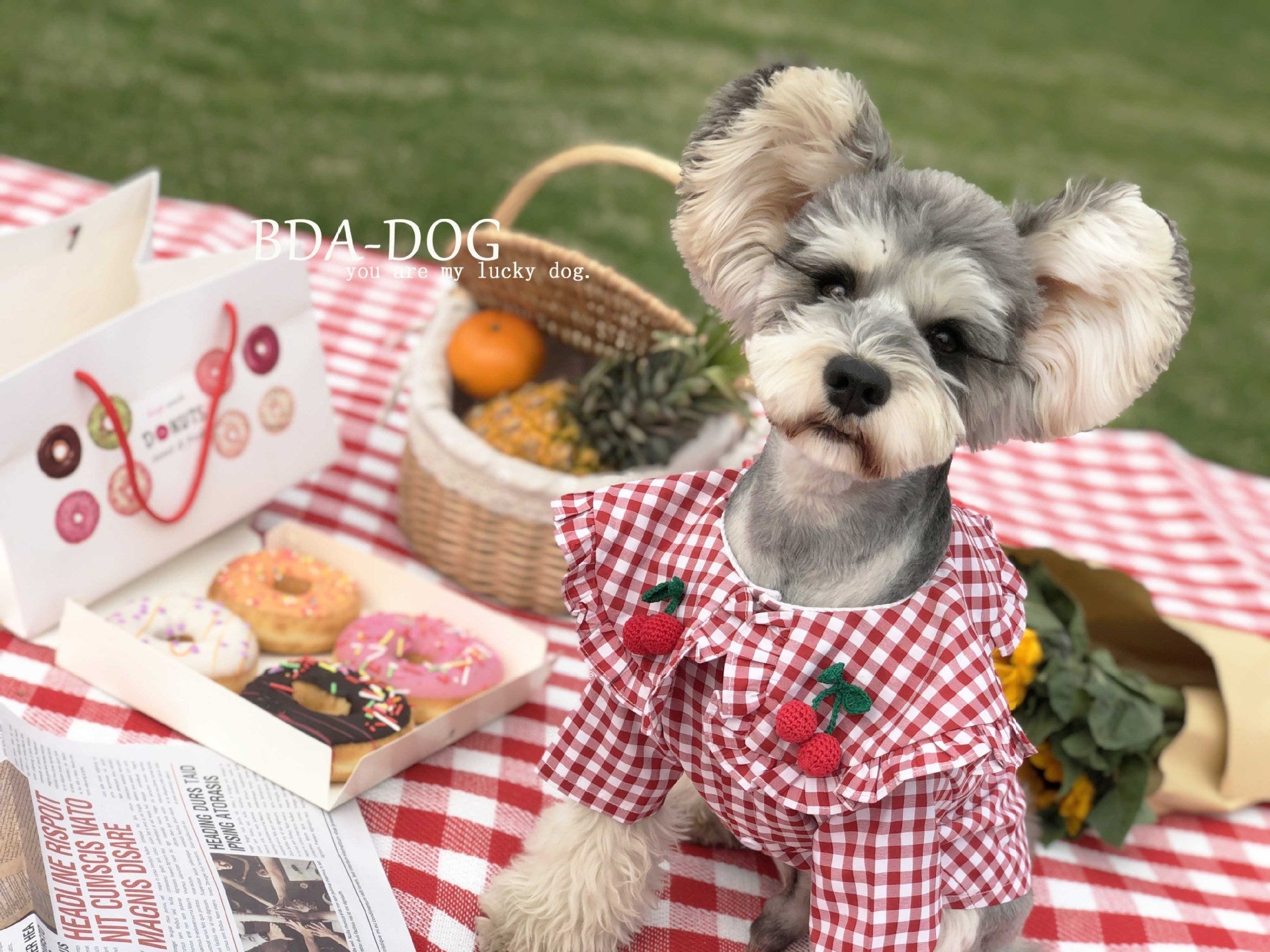KFX-6431677 Checkered Cotton Summer Shirt for Small Dogs - Casual Outfit in Multiple Sizes