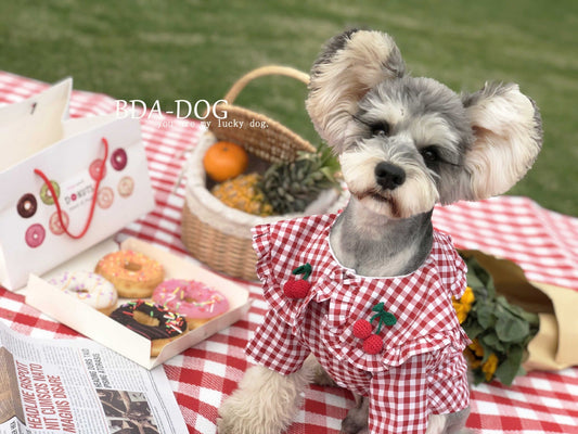 KFX-6431677 Checkered Cotton Summer Shirt for Small Dogs - Casual Outfit in Multiple Sizes