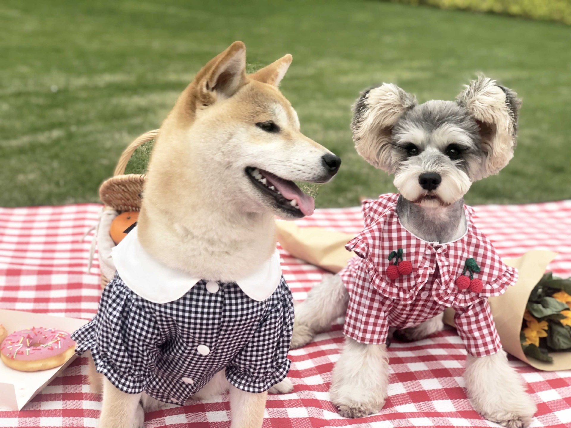 KFX-6431677 Checkered Cotton Summer Shirt for Small Dogs - Casual Outfit in Multiple Sizes