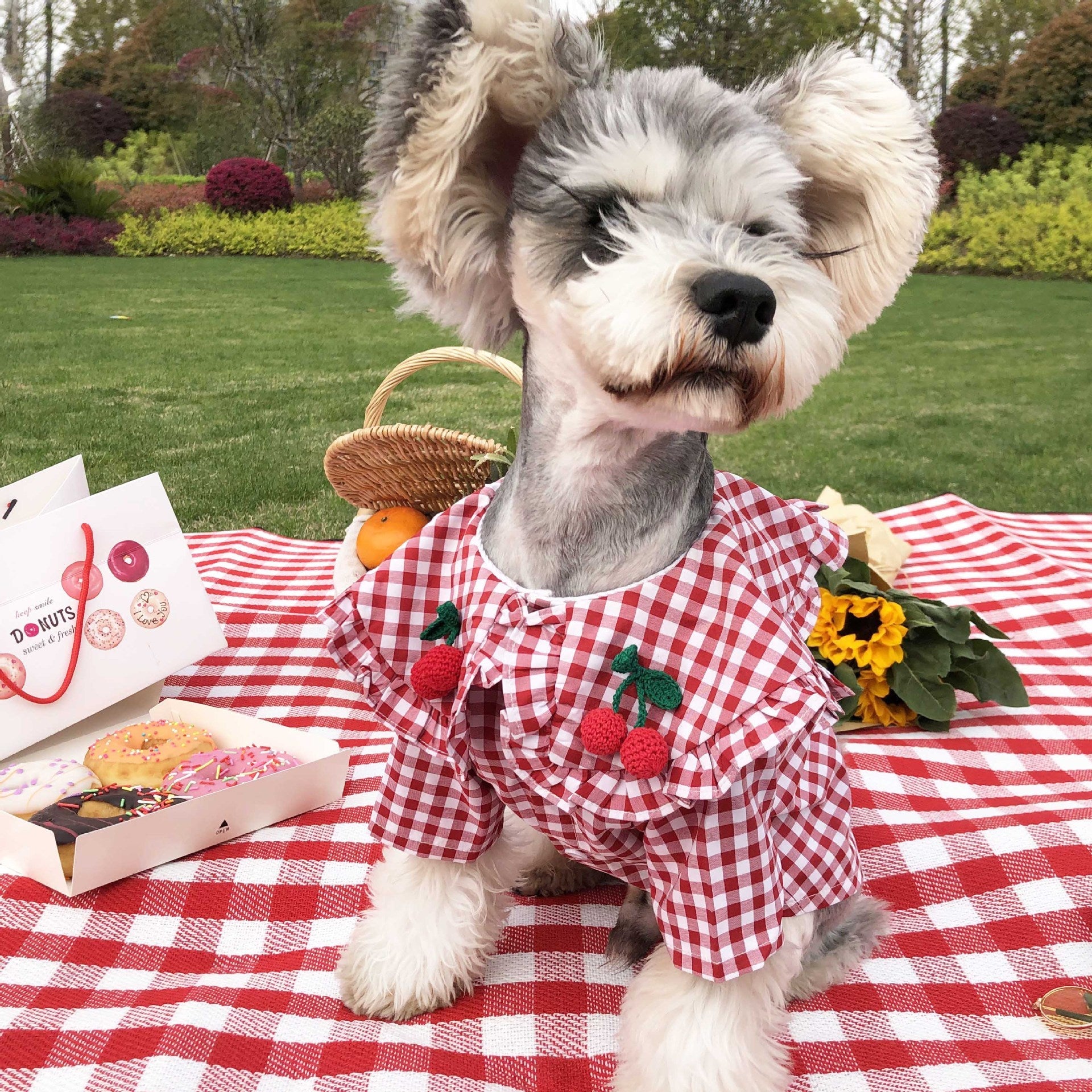 KFX-6431677 Checkered Cotton Summer Shirt for Small Dogs - Casual Outfit in Multiple Sizes