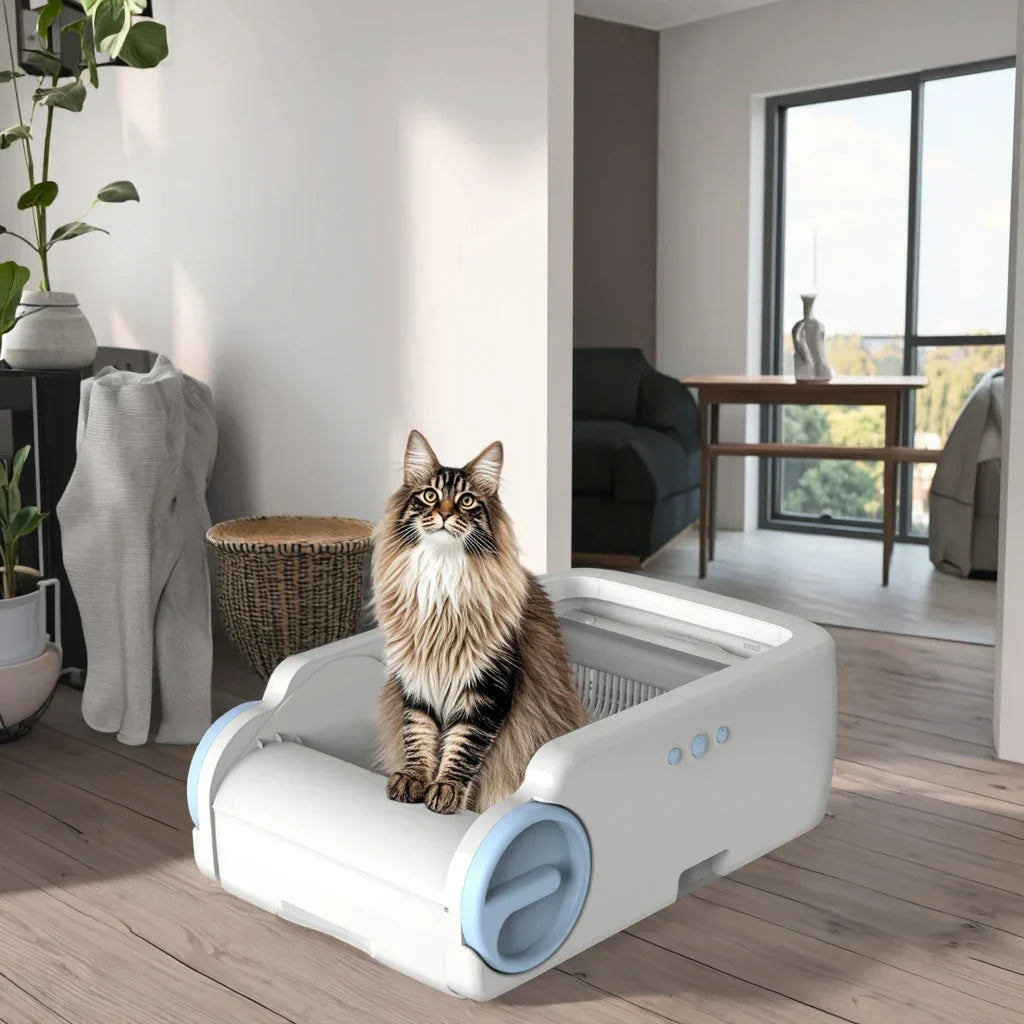 KFX-644243 Automatic Cat Litter Box with Odor Control, Easy Clean Features, and Modular Design
