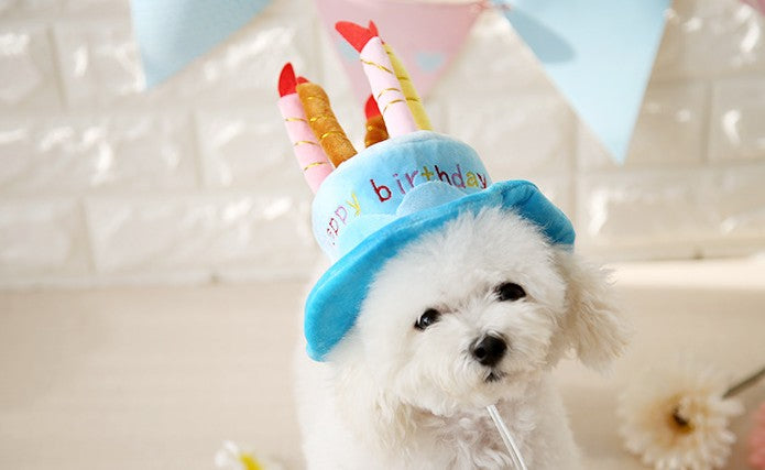 KFX-6443197 Pet Birthday Cake Hat with Adjustable Rope, Cashmere Material, 20x16cm, Fits Pets Up to 45cm