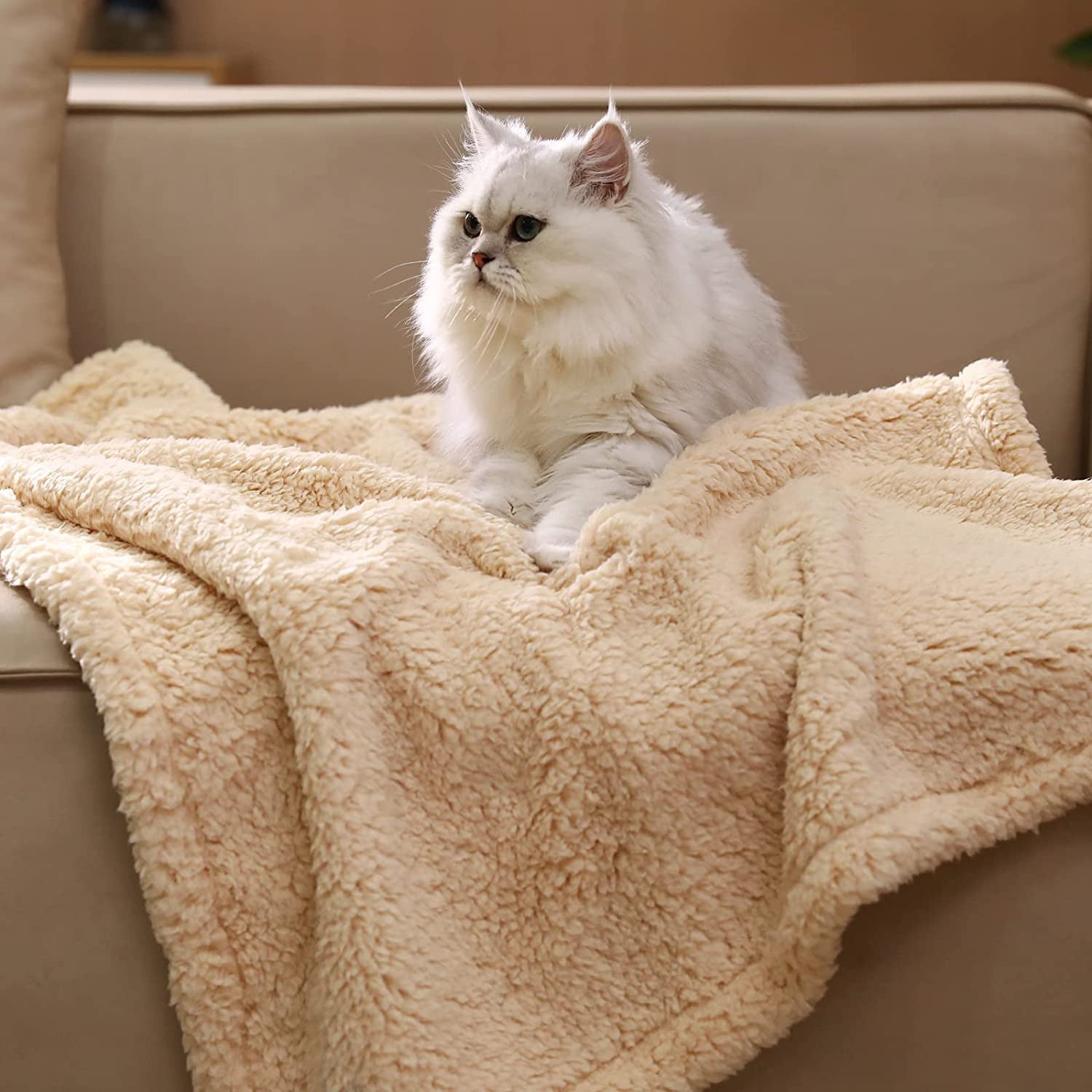 KFX-6444477 Cotton Velvet Pet Blanket for Dogs – Warm, Soft, Available in Black, Beige, and Gray