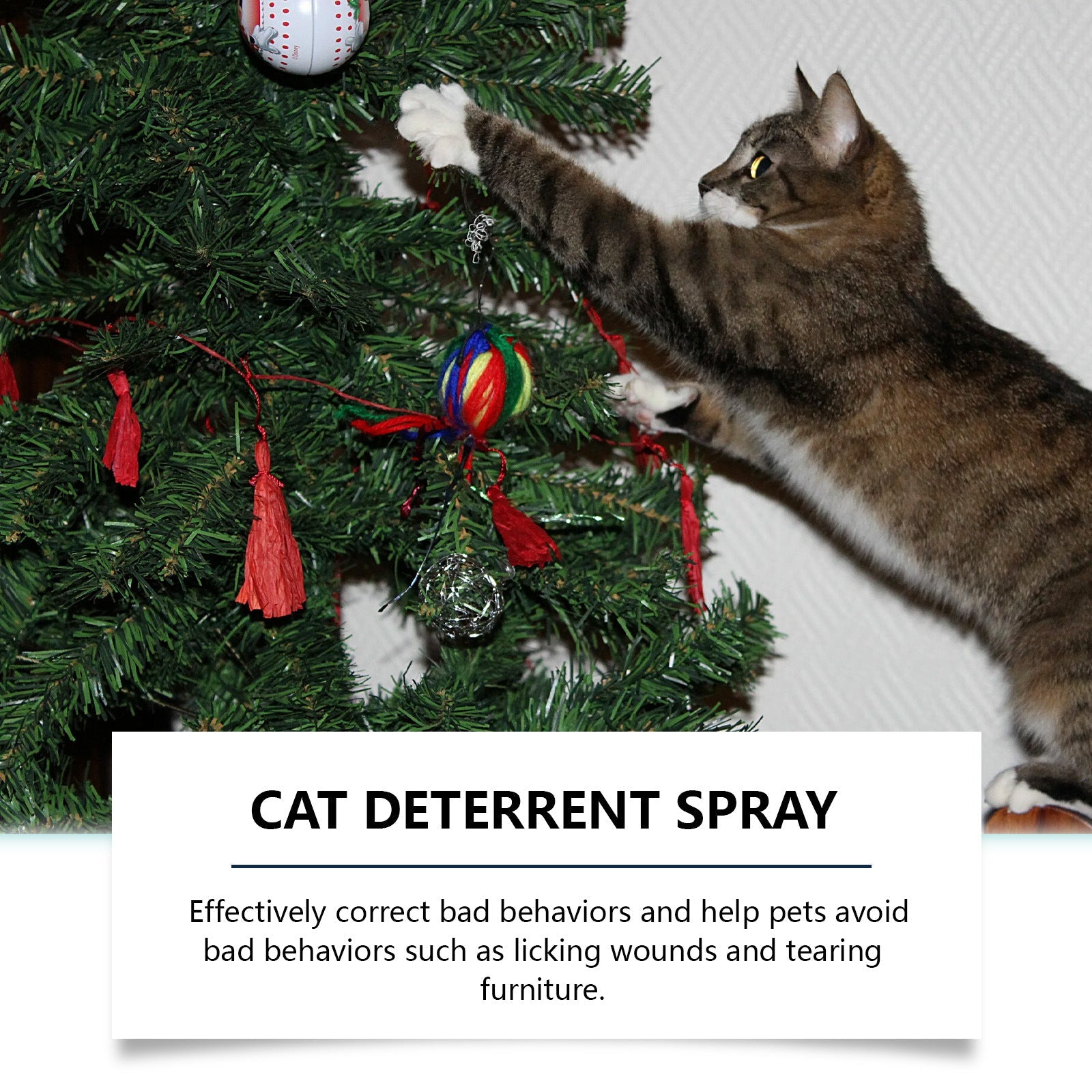 KFX-6450237 Pet Anti-Chewing Spray for Indoor Training to Prevent Biting and Scratching of Furniture, 50ml