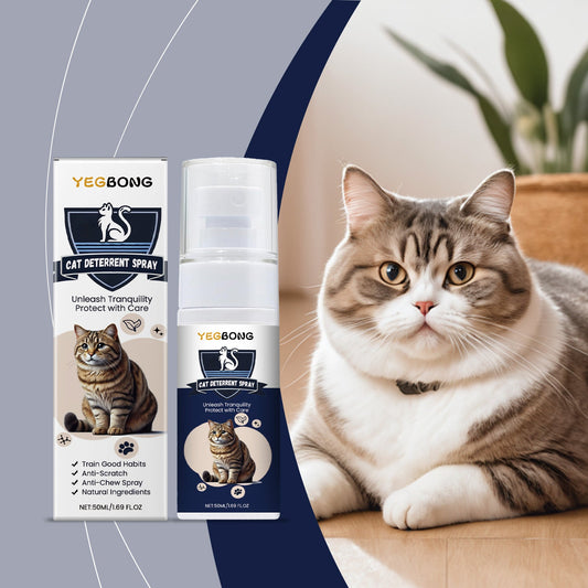 KFX-6450237 Pet Anti-Chewing Spray for Indoor Training to Prevent Biting and Scratching of Furniture, 50ml