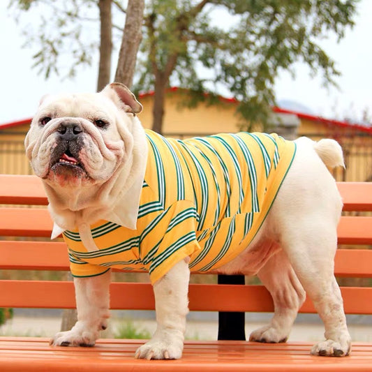 KFX-6464445 Casual Cotton T-Shirt for Big Dogs and Corgis in Blue, Yellow, and Green