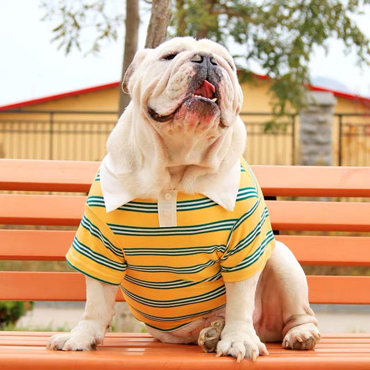 KFX-6464445 Casual Cotton T-Shirt for Big Dogs and Corgis in Blue, Yellow, and Green