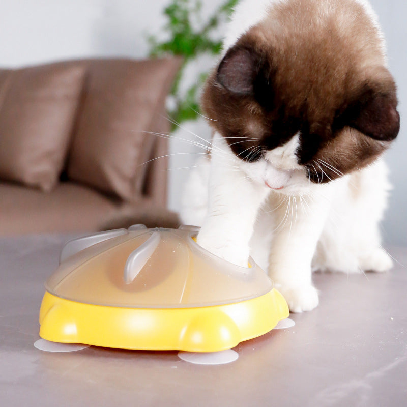 KFX-6472637 Interactive Snack Bowl and Entertainment Plate for Cats - Educational Pet Supplies and Toys