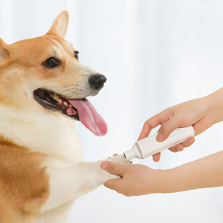 KFX-6475581 Pet Electric Nail Polisher for Cats and Dogs - Low Noise and Vibration, USB Rechargeable, Safe and Durable
