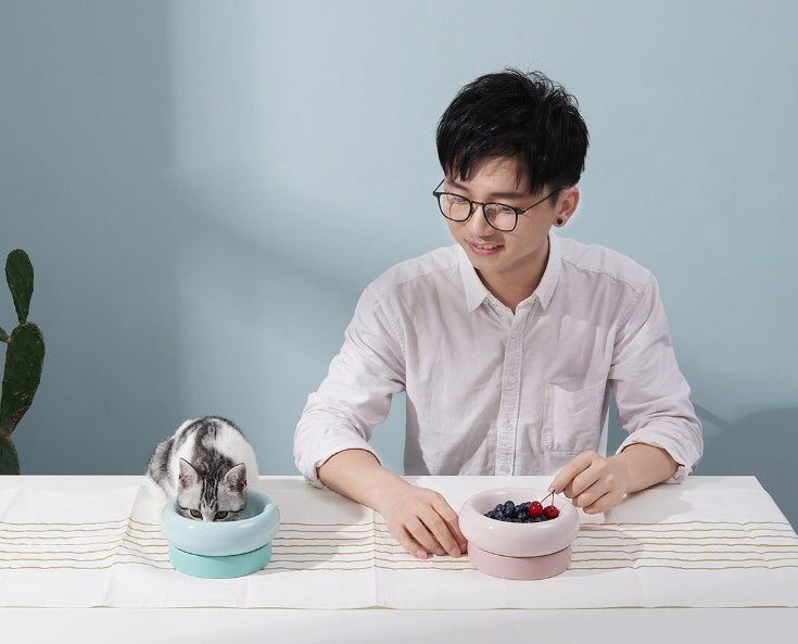 KFX-6477757 Mochi Ceramic Short-Leg Cat Bowl in Light Green and Pink, Medium Size