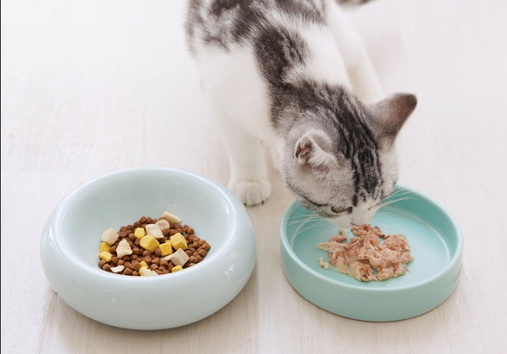 KFX-6477757 Mochi Ceramic Short-Leg Cat Bowl in Light Green and Pink, Medium Size