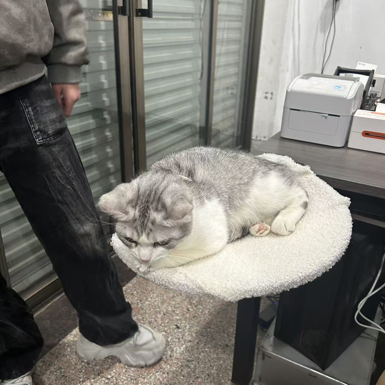 KFX-6481597 Portable Metal Cat Nest - Disassemblable Pet Bed for Cats