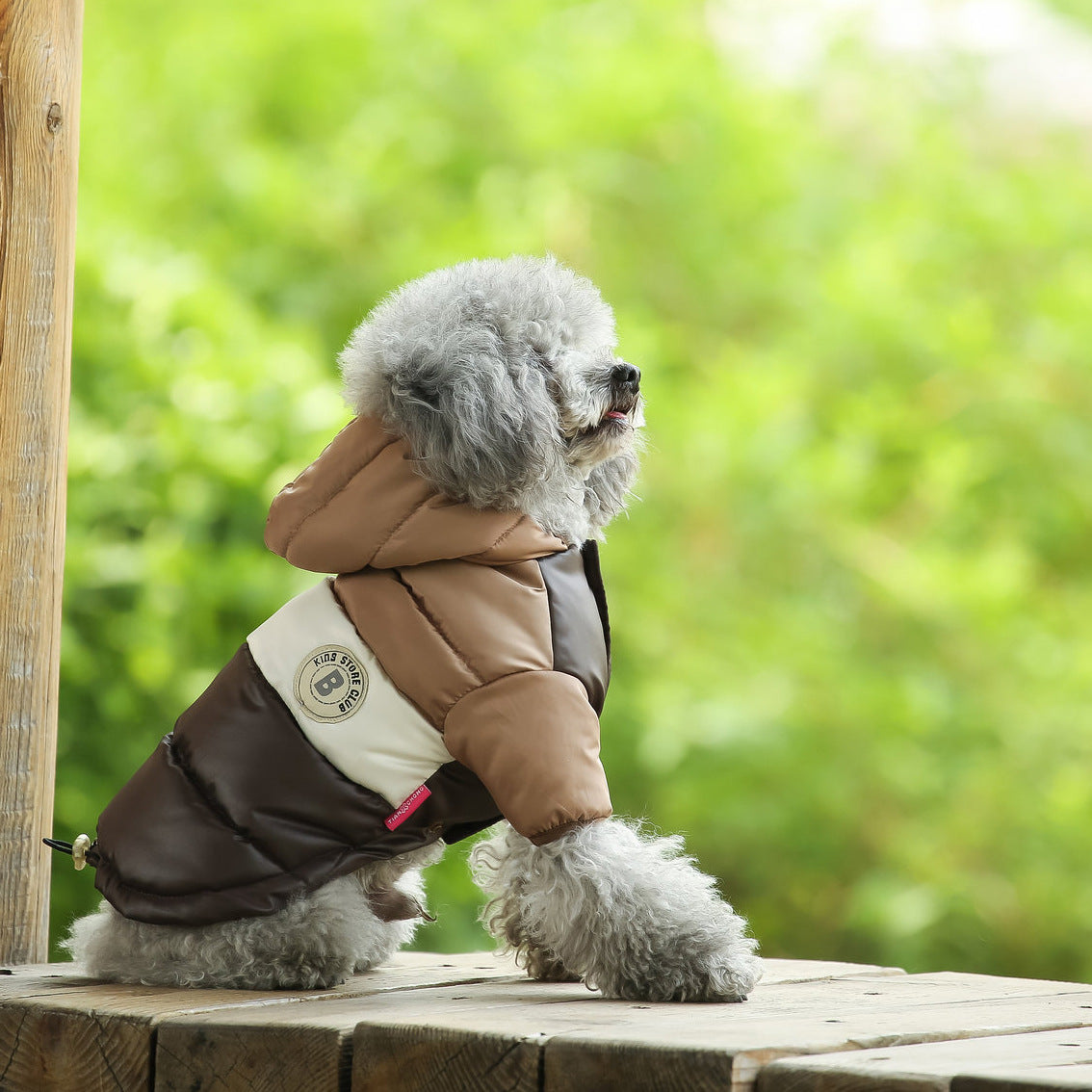 KFX-6481981 Two-Legged Cotton-Padded Dog Jacket in Multi-Color Options for Outdoor Warmth