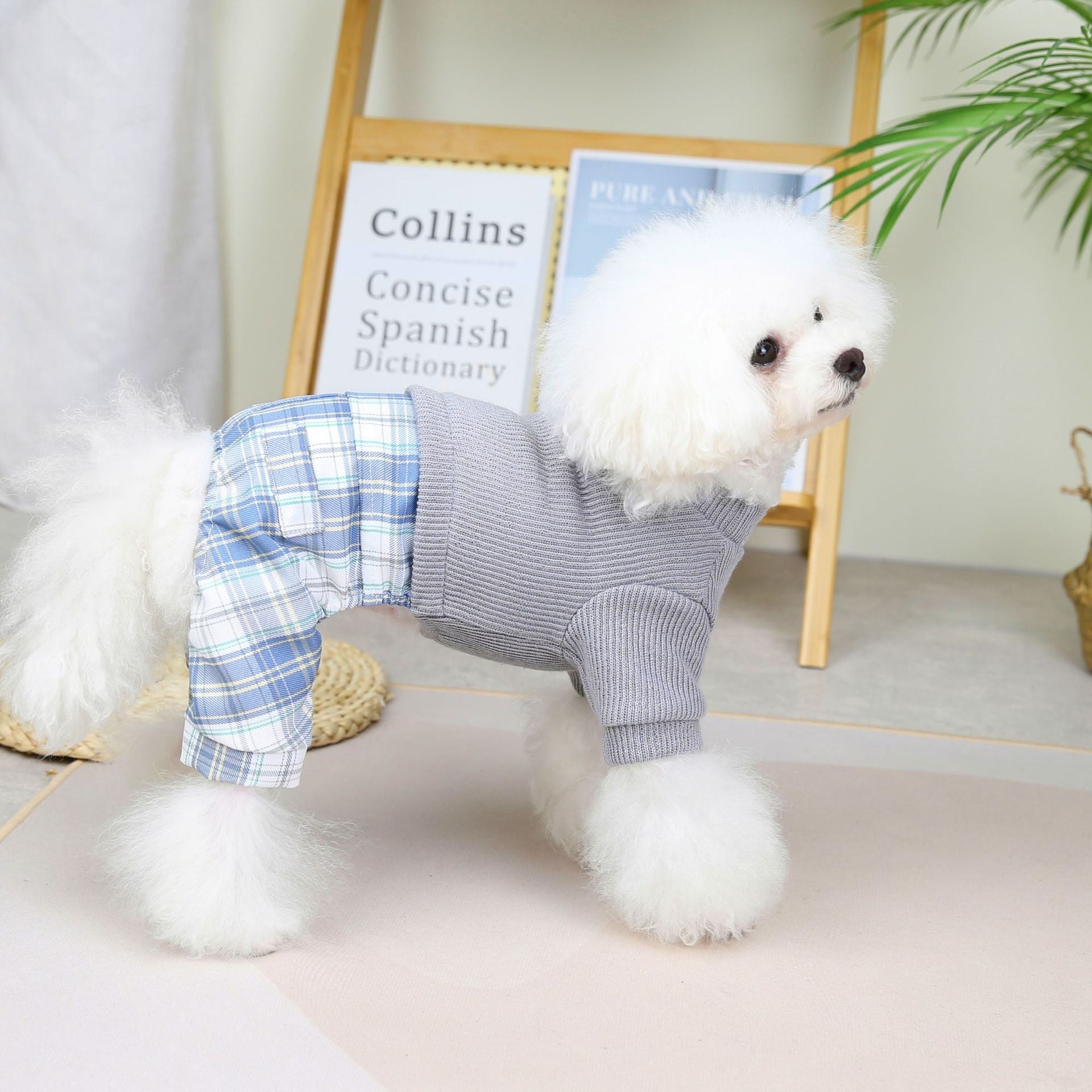 KFX-6482109 Wool Fabric Casual Dog Skirt and Pant Suit Set, Warm Pet Clothing