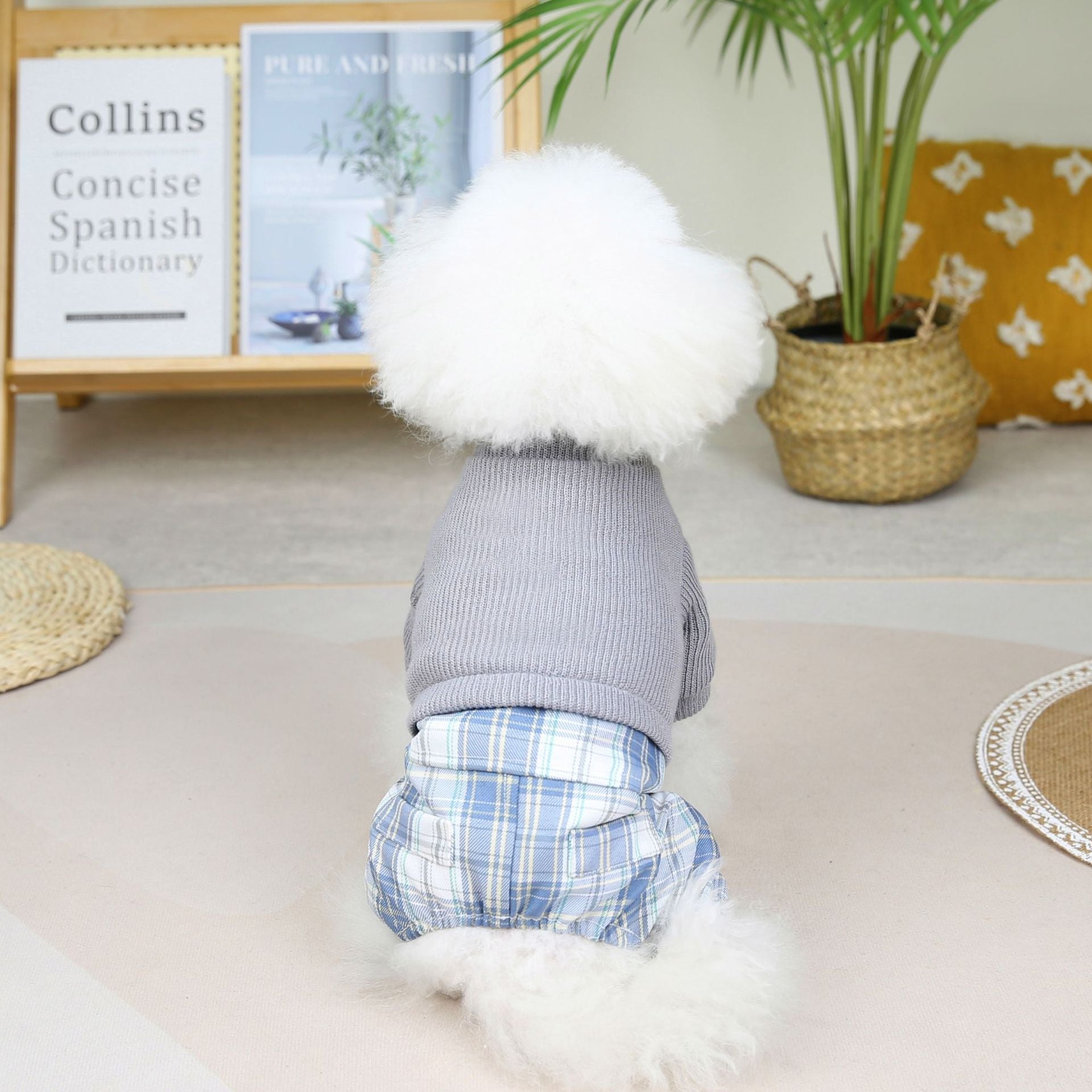 KFX-6482109 Wool Fabric Casual Dog Skirt and Pant Suit Set, Warm Pet Clothing